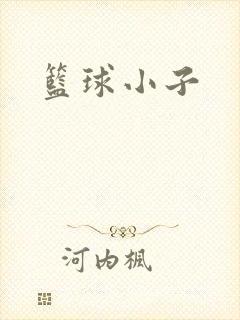 篮球小子