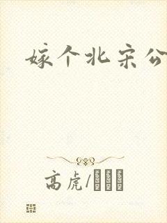 嫁个北宋公务员