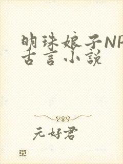明珠娘子NPC古言小说