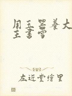 用玉器养大的公主书雪