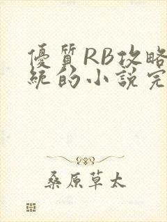 优质RB攻略系统的小说完整版