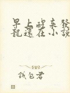 早上醒来发现巨龙还在小说