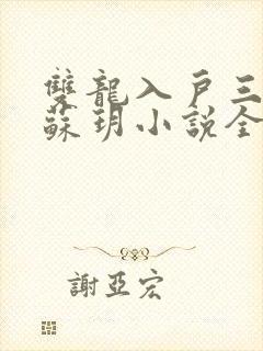 双龙入户三人行苏玥小说全文阅读