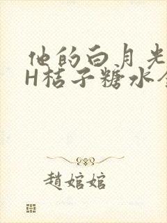 他的白月光HVH桔子糖水全文