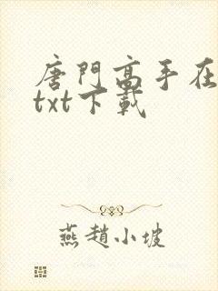 唐门高手在异世txt下载