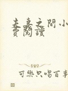 夫妻之间小说免费阅读