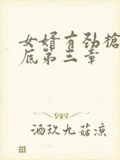 女婿有劲枪枪到底第三章