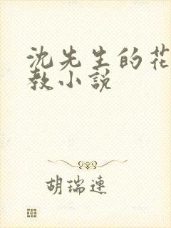 沈先生的花式管教小说