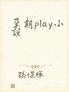 孕期play小说