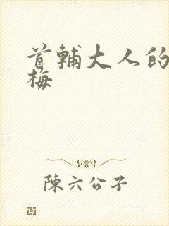 首辅大人的小青梅