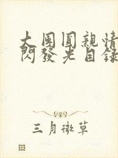 大团圆亲情会闪闪发光目录