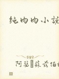 纯肉肉小说