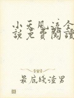 小天风流全集小说免费阅读
