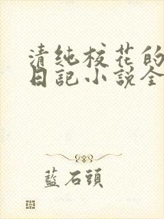 清纯校花的堕落日记小说全文免费阅读