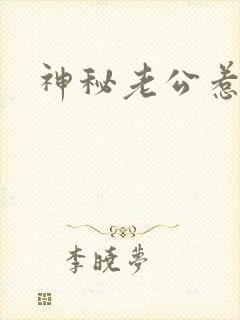 神秘老公惹不起