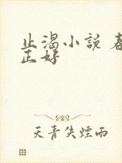 止渴小说 春光正好