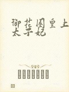 御花园皇上撞着太子妃