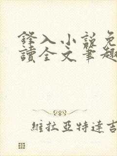 锋入小说免费阅读全文笔趣阁