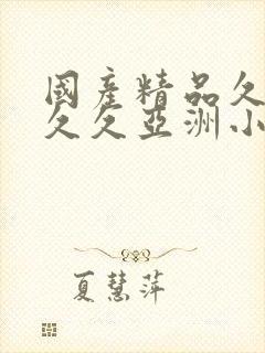 国产精品久久久久久亚洲小说