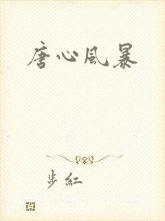 唐心风暴