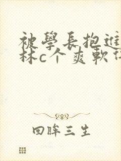 被学长抱进小树林c个爽软件