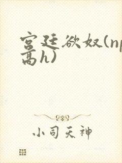 宫廷欲奴(np高h)