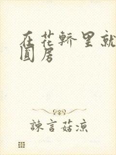 在花轿里就开始圆房