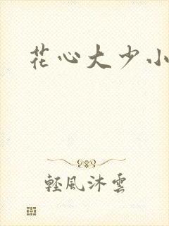 花心大少小说
