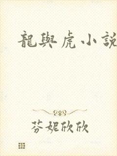 龙与虎小说