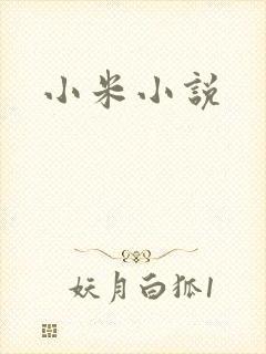 小米小说