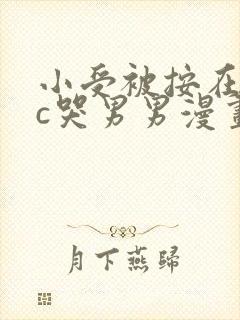 小受被按在墙上c哭男男漫画