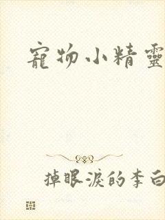 宠物小精灵漫画