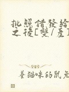 批照错发给情敌之后[双/产]