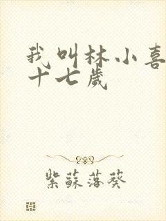 我叫林小喜今年十七岁