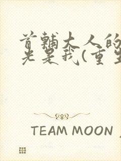 首辅大人的白月光是我(重生)