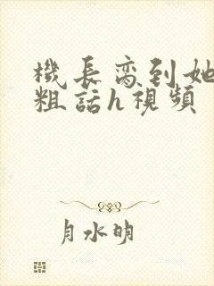 机长脔到她哭h粗话h视频