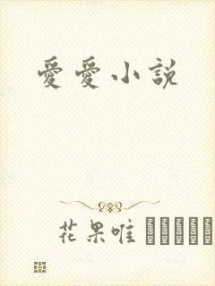 爱爱小说