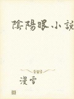 阴阳眼小说