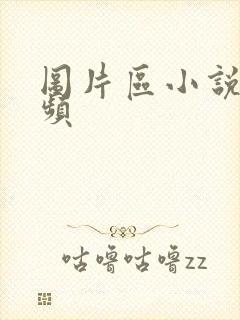 图片区小说区视频