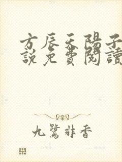 方辰天阳子的小说免费阅读