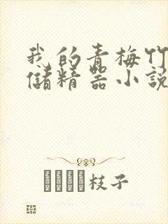 我的青梅竹马是储精器小说