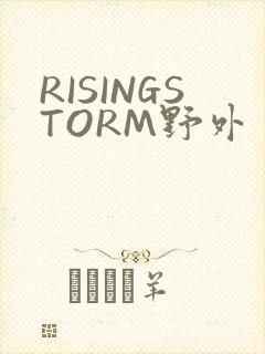 RISINGSTORM野外
