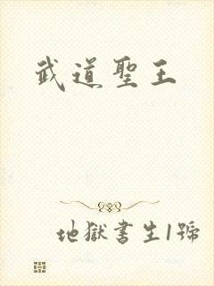 武道圣王