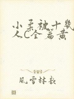 小柔被十几个男人C全篇黄