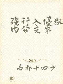 强行入侵粗暴h肉公交车