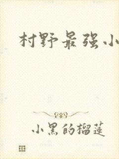 村野最强小农民