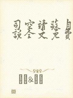 司空靖苏月汐小说全文免费阅读