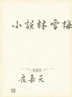 小说林雪梅