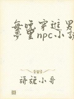 每晚穿进男神的梦里npc小说