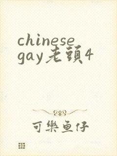 chinesegay老头4封面